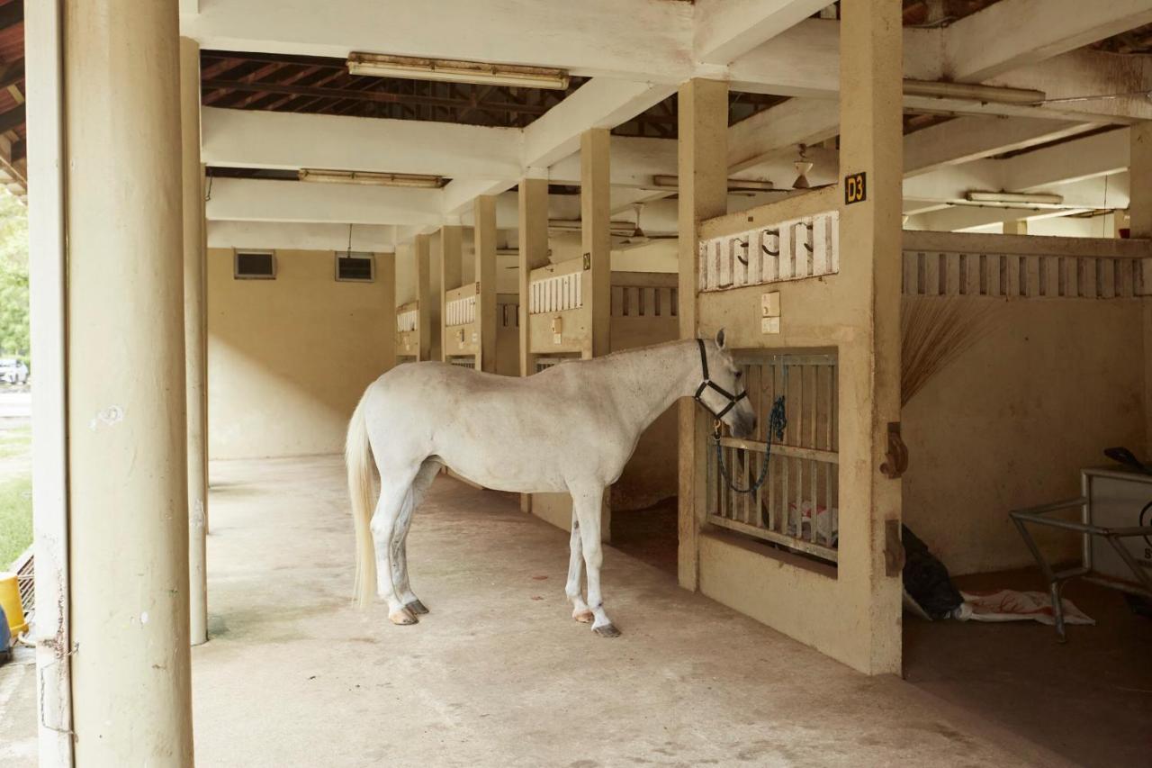 Terengganu Equestrian Resort Kuala Terengganu Exteriér fotografie