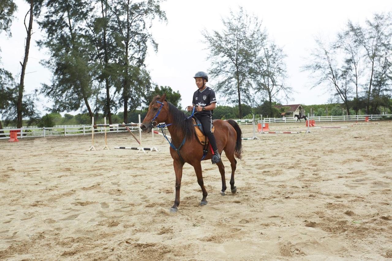Terengganu Equestrian Resort Kuala Terengganu Exteriér fotografie