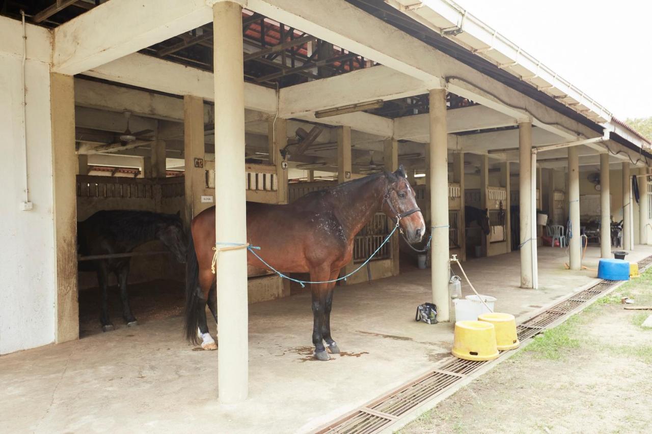 Terengganu Equestrian Resort Kuala Terengganu Exteriér fotografie